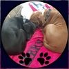 deborahbaker828